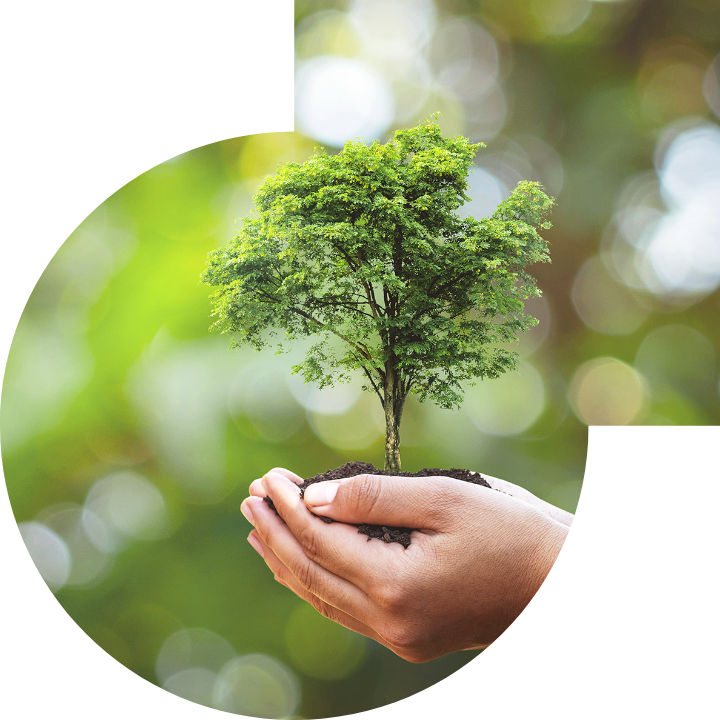 關懷人類、文化、環境與社會